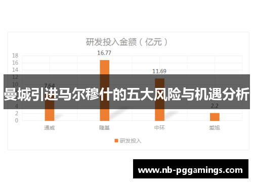 曼城引进马尔穆什的五大风险与机遇分析