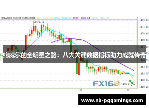 鲍威尔的全明星之路：八大关键数据指标助力成就传奇