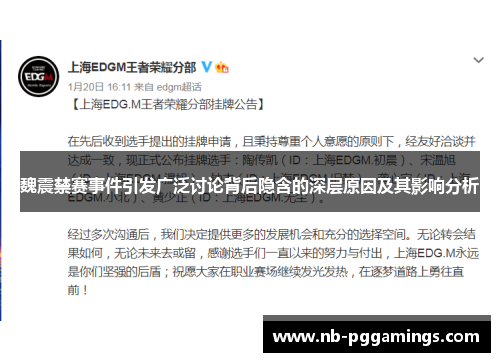 魏震禁赛事件引发广泛讨论背后隐含的深层原因及其影响分析