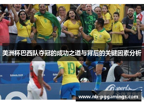 美洲杯巴西队夺冠的成功之道与背后的关键因素分析