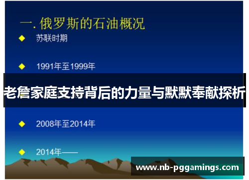 老詹家庭支持背后的力量与默默奉献探析